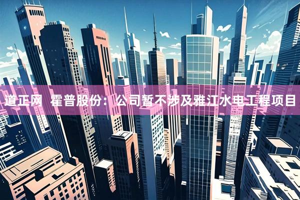 道正网  霍普股份：公司暂不涉及雅江水电工程项目
