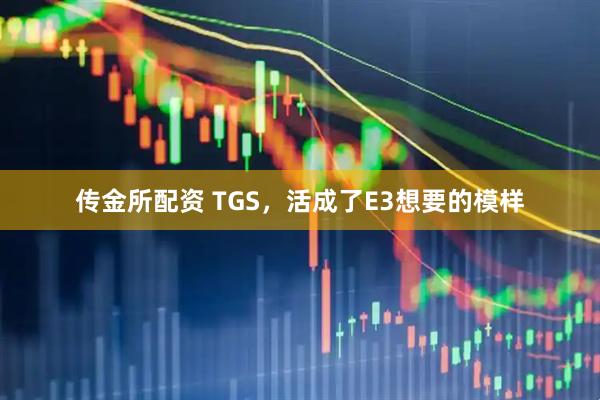 传金所配资 TGS，活成了E3想要的模样